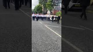 Whiterock Flute Band Royal Black Institution Last Saturday in August 2023 Woodvale [upl. by Bertie]