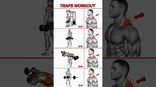 Best Shoulder And Traps Workout At Gym✅ gymworkout shortsviral [upl. by Ladnyk550]