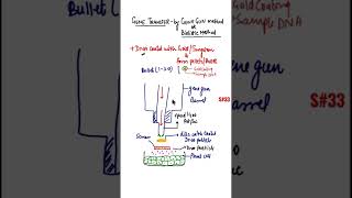 Gene Transfer by Gene Gun methodBiolostic method of gene transfer shorts geneticengineering [upl. by Akaya]