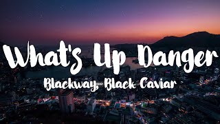 Blackway amp Black Caviar  Whats Up Danger Lyrics [upl. by Nitz]