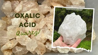 HOW TO CLEAN CRYSTALS the Right amp Fast Way with Oxalic Acid  Hogg Mine Milky Quartz Minerals Rocks [upl. by Orpha]