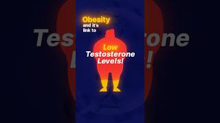 Obesity amp Low Testosterone Whats the Connection [upl. by Letnuhs]