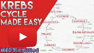 KREBS CYCLE MADE SIMPLE  TCA Cycle Carbohydrate Metabolism Made Easy [upl. by Rugg]