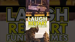 you LAUGH you RESTART 🤣 Funny Memes 😂 Daily Funny Videos pt227 [upl. by Aiht]