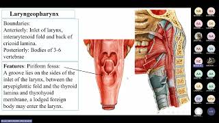 Pharynx amp Larynx by Dr Neven Abdelhamid [upl. by Eenyaj]