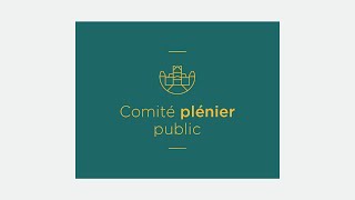 Comité plénier public du 17 septembre 2024 [upl. by Airrotal]