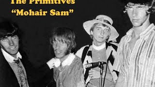 THE PRIMITIVES Mohair Sam 1967 [upl. by Eelatan]