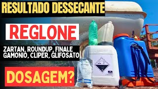 resultado do dessecante reglone  Clipper  finale  gamonio  Roundup  zartan  glifosato dosagem [upl. by Vipul]