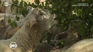 Gente di campagna  Poggio Bustone [upl. by Ninon]