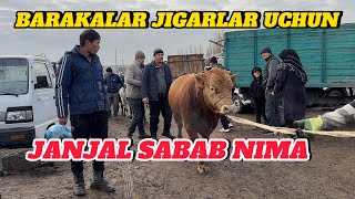 ASAKA MOL BOZORI SIGIR VA BARAKALAR URUSHGA NIMA SABAB BOʻLDI 14112024 [upl. by Arun]