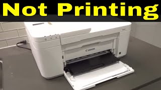 Canon Pixma TR4500 Not PrintingHow To Fix ItEasy Tutorial [upl. by Aneev]