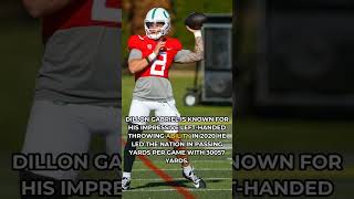 Dillon Gabriel Rising Star Quarterback Highlights [upl. by Noami]