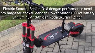 Electric Scooter Sealup Q18 Power Motor 1000W Battery Lithium 48V 13Ah [upl. by Marnie782]