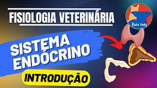 Sistema endócrino  Introdução  Fisiologia veterinária  Aula 1 [upl. by Annasor]