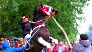 El Magia Negra  Sebastián Almendras quotEl Cuarto De Millaquot Corridos De Caballos [upl. by Adaynek]