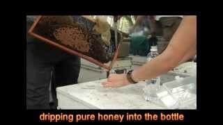 Pure Honey Test  Physical Property of Pure Honey Singapore [upl. by Natan]