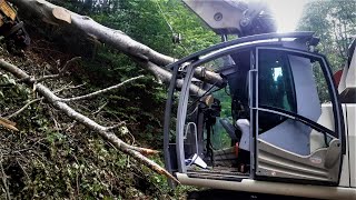 1000 Wege ins Holz zu beißen 1 Die Bäume schlagen zurück  Pleiten Pech und Pannen [upl. by Ellon]