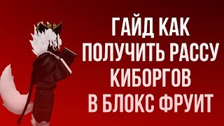 БЫСТРЫЙ И ПОНЯТНЫЙ ГАЙД КАК ПОЛУЧИТЬ РАССУ КИБОРГОВ В БЛОКС ФРУИТ  BLOX FRUITS [upl. by Wolsky]