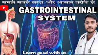 The Gastrointestinal system  the overview of GI tract organs and their work [upl. by Thorsten]