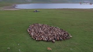 The Transcaucasian Trail An Ode to Nature and a Gift to its Explorers in Armenia [upl. by Eeladnerb]