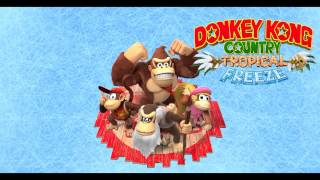 Music Donkey Kong Country Tropical Freeze  Panicky Paddles [upl. by Hatty]