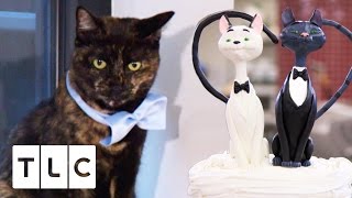 A Cat Cake For a Cat Wedding  Cake Boss Season 9 [upl. by Orenid]