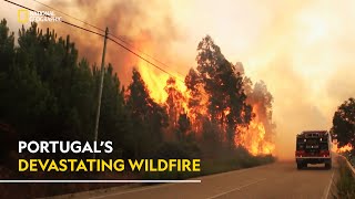 Portugal’s Devastating Wildfire  Witness to Disaster  हिंदी  Full Episode  S1  E2  Nat Geo [upl. by Lecram227]