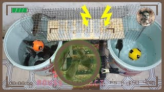 DIY Electric Mouse Trap  How to Catch a Smart Mouse  How to Catch a Rat in Your House [upl. by Lavinie]