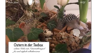 DIY „Ostern in der Teebox“ Dekoidee mit Naturmitbringsel Oster Deko Idee  How to  Deko Jana [upl. by Sherrill131]