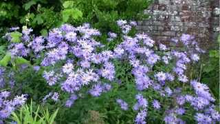 Abbey Dore Court Gardens near Hereford  Herefordshire Attractions [upl. by Clite]