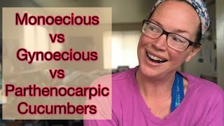 Explaining Monoecious Gynoecious and Parthenocarpic Cucumber Differences  Little Roots Ranch [upl. by Dymoke905]