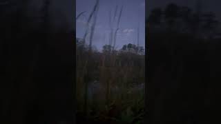 Duck opening college hunting duckhunting collegehunting outdoors [upl. by Arramahs]