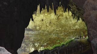 Rio Camuy Cave Puerto Rico 4K [upl. by Edalb]