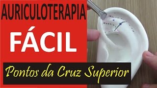 Auriculoterapia Fácil  Curso de Acupuntura Auricular [upl. by Tati30]