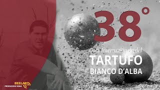 38 GARA INTERNAZIONALE TARTUFO BIANCO DALBA  BOCCE SPECIALITA VOLO [upl. by Yong859]