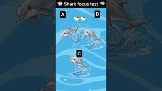 Find Dolphin Focus Test For Dolphin Dolphin focus test Dolphin cartoons cartoon [upl. by Leeban]