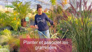 Quelles GRAMINÉES pour MON JARDIN  Conseils et Inspirations [upl. by Mahgirb]