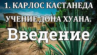 1 Карлос Кастанеда Первая книга Учение Дона Хуана Введение Аудиокнига [upl. by Laurinda]