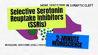 2Minute Neuroscience Selective Serotonin Reuptake Inhibitors SSRIs [upl. by Gow92]