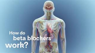 How do beta blockers work [upl. by Junie]