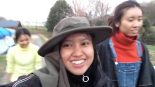 This is us  WWOOF IN JAPAN [upl. by Eet187]