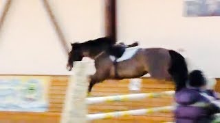 Why Do Horses Jump Riderless [upl. by Nomolas]