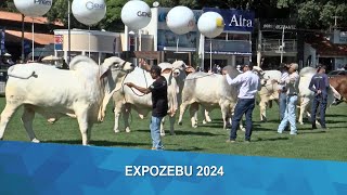 Expozebu 2024 maior feira zebuína do mundo deve atrais mais de 400 mil pessoas [upl. by Beckett585]