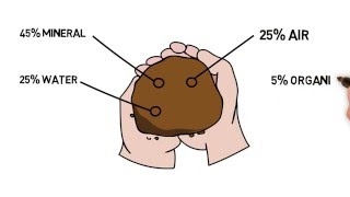 Introduction to Soil part 2 [upl. by Hitchcock915]