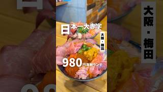 【日本一大赤字の980円海鮮丼ランチ】「地下鉄 東梅田駅から徒歩10分」📍almalio 大阪グルメ 大阪ランチ 梅田グルメ 大阪海鮮丼 osakafood [upl. by Katusha]