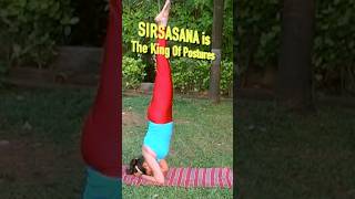 Why Shud U Stand On Your HeadUpaasnaKhoslaYoga shortsfeed fitness health howto yogabenefits [upl. by Russell]