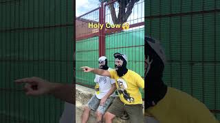 Cuando descubres UMMO y se convierte automáticamente en tu nueva religiòn 🐮🙏 memesvideo holycow [upl. by Ali]