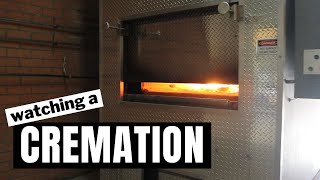 What happens during cremation [upl. by Engis]