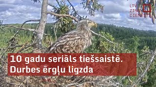 10 gadu seriāls tiešsaistē Durbes ērgļu ligzda [upl. by Ardnala]