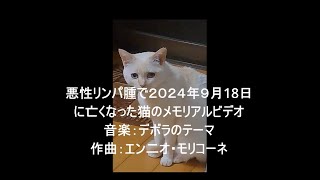 デボラのテーマ ＜悪性リンパ腫で2024年9月18日に亡くなった猫のメモリアル＞ [upl. by Vandervelde]